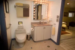 Ray's Bucktown Bed and Breakfast - Salle de bain