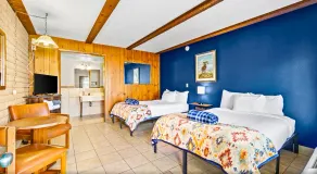 The Alpine Motel - Chambre