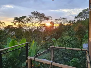 Hotel La Palma y El Tucán - Café y Naturaleza - Vue de la chambre
