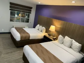 Quality Inn Near Hollywood Walk of Fame - Chambre