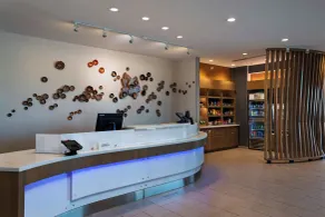 SpringHill Suites by Marriott Austin Cedar Park - Réception