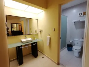 Veracruz Suites Hotel - Badeværelse