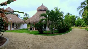 Viajero Tayrona Hostel & Ecohabs - Room