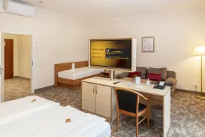 Best Western Hotel Dreiländerbrücke Weil am Rhein / Basel - Room