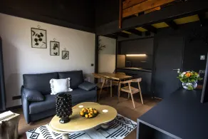 ISKÖ CHALETS-HÖTEL, Col d'Aubisque - Værelse