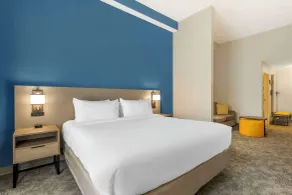Comfort Suites Sarasota-Siesta Key - Room