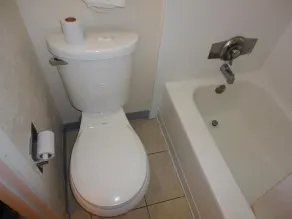 Americas Best Value Inn Battle Creek - Badeværelse