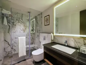 Regenta Central Shivani, Solapur - Baño