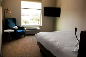 Hilton Garden Inn Dallas at Hurst Conference Center - Vue de la chambre