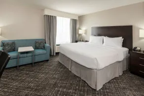 TownePlace Suites by Marriott Abilene Northeast - Chambre