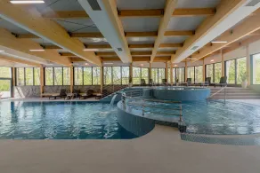 Country Club Żywiec Hotel SPA i Domki Całoroczne - Pool