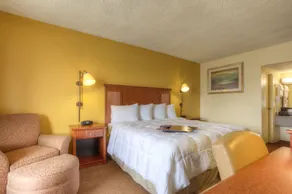 Econo Lodge Byron near Historic District - Warner Robins - Chambre