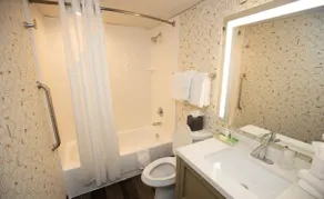 Wyndham Houston Hobby Airport - Salle de bain