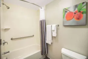 La Quinta by Wyndham Atlanta Airport North - Salle de bain