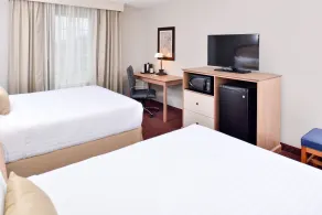 Appomattox Inn and Suites - Værelse