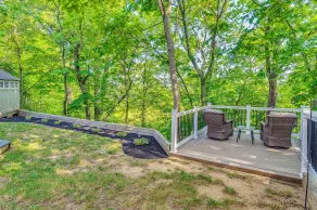 Treehouse Views! Walking Distance to IMS - Interiör