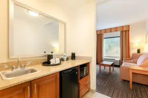 Hampton Inn Ringgold-Ft. Oglethorpe - Badezimmer