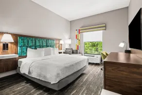 Hampton Inn Elkton - Chambre
