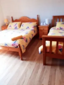 Tara House B&B - Chambre