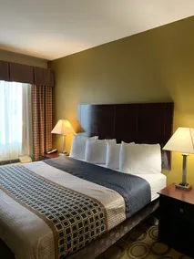 Rodeway Inn & Suites Winnfield - Room