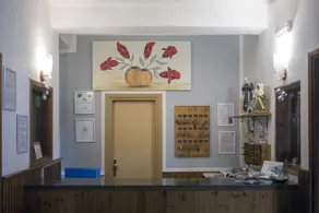 Hotel Pinguino - Réception