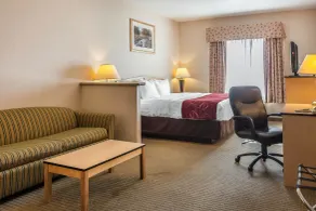 Comfort Inn & Suites Airport Convention Center - Chambre