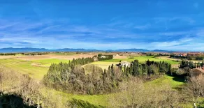 Hotel Emporda - Vue de la chambre