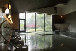 Kikuchi Sasanoya - Spa