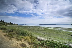 Cozy Port Orchard Home w/ Grill & Fire Pit! - Interiör