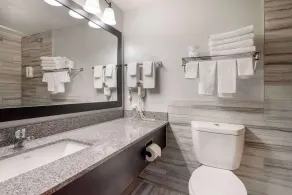 Quality Inn & Suites Mayo Clinic Area - Salle de bain