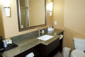 Holiday Inn Express Hotel & Suites Clemson - University Area by IHG - Salle de bain