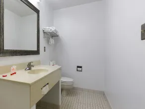 Mansion View Inn & Suites - Salle de bain