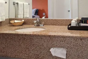 Rodeway Inn Alameda-Oakland - Zimmer