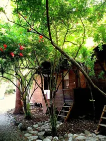 Sheriff Olympos Pension - Chambre