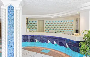 Hotel Terme Tritone Resort & Spa - Reception
