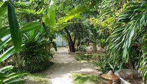 Ocean Vida Beach and Dive Resort - Vue de la chambre