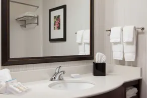 Hilton Garden Inn Bettendorf/ Quad Cities - Salle de bain