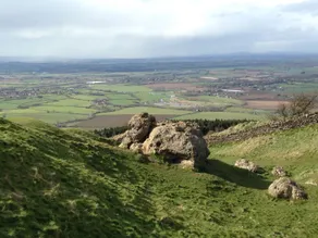 The Cottage - Divers