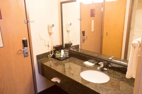 Comfort Inn Anderson South - Salle de bain