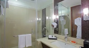 SK Premium Park - Salle de bain