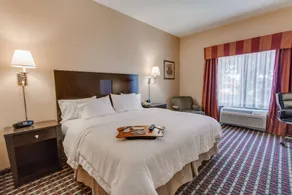 Hampton Inn & Suites Las Cruces I-25 - Chambre