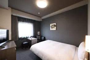 Hotel Route Inn Aichi Togo - Rum