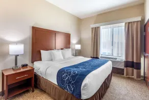 Comfort Suites Near Denver Downtown - Chambre