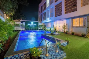 Olive Tree Resort - Pool