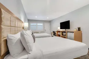 Sather Berkeley - SureStay Collection by Best Western - Chambre