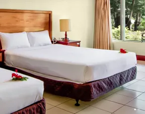 Tanoa Skylodge Hotel - Vue de la chambre