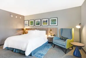 Hilton Garden Inn Houston Hobby Airport, TX - Room
