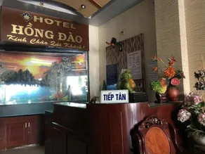 Hong Dao Hotel - Reception