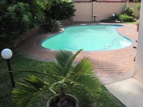 Swallows Nest B&B - Pool