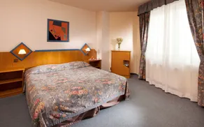 Hotel Concertino Zlatá Husa - Habitación